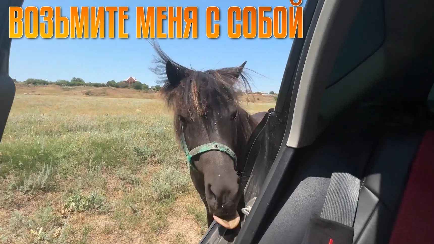 Возьми меня с собой смотреть онлайн