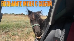 Возьми меня с собой
