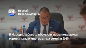 В Народном Совете обсудили меры поддержки материнства и многодетных семей в ДНР. 07.07.2026