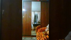Кружит голову ай до упаду