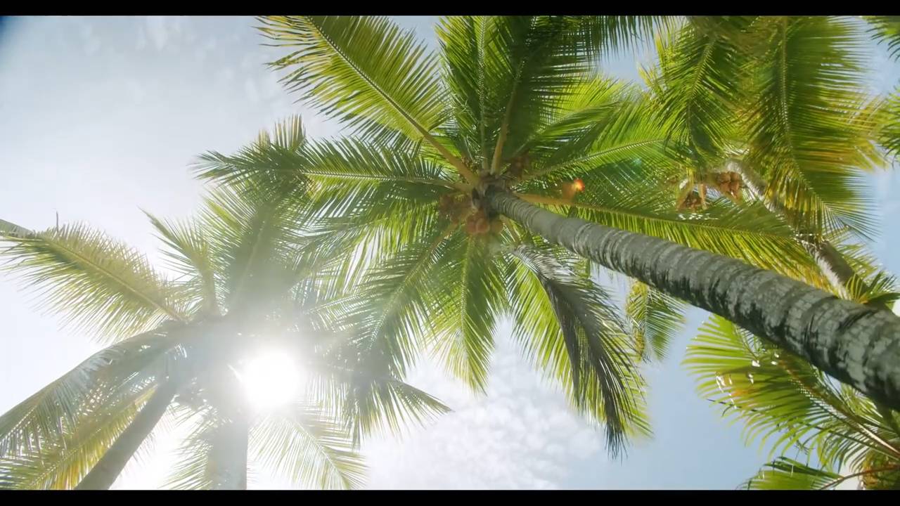 DJ Sava ft. Ruby - Maria. смотреть онлайн