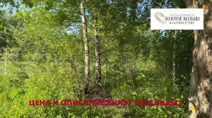 Участок 25 соток с небольшим домиком в дер. Рябинино Владимирской обл.
