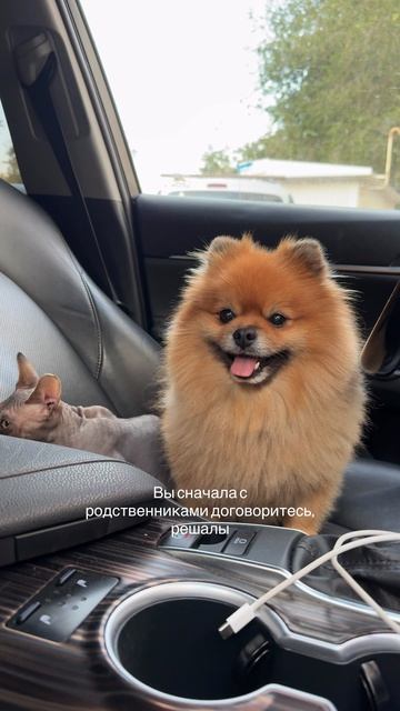 Жиза жизненная 😂