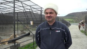 Туристы со всей России едут в КЧР ради «Долины тигров»