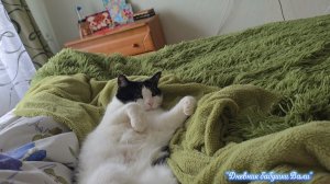Жалко будет расставаться.