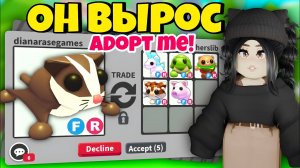 Он стоит ДОРОЖЕ ВСЕХ в Адопт Ми😱ТРЕЙДЫ на SUGAR GLIDER в Adopt Me! ЧТО ДАЮТ за БЕЛКУ ЛЕТЯГУ ОБНОВА