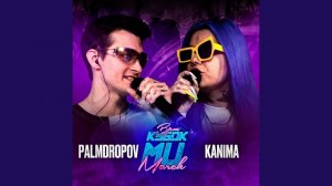 Round 2 (vs Palmdropov)
