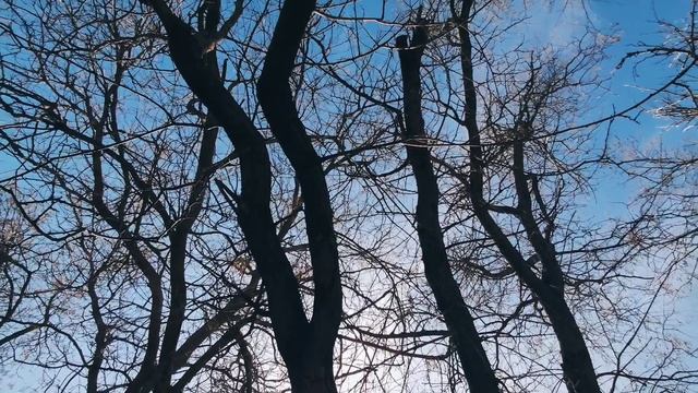 Один из дней города Евпатории | 7 апреля 2022 год | Крым ХАН БАТОН XAH 6ATOH | VID_20220407_150601