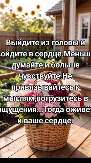 Ошо