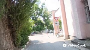 1000189236.mp4 Фруктовые деревья во дворе 👍