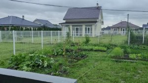 В Калининградской области бушует ураган. Сдаю квартиру на побережье.