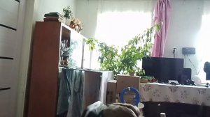 дошёл до уровня с боссом и играю в vr.