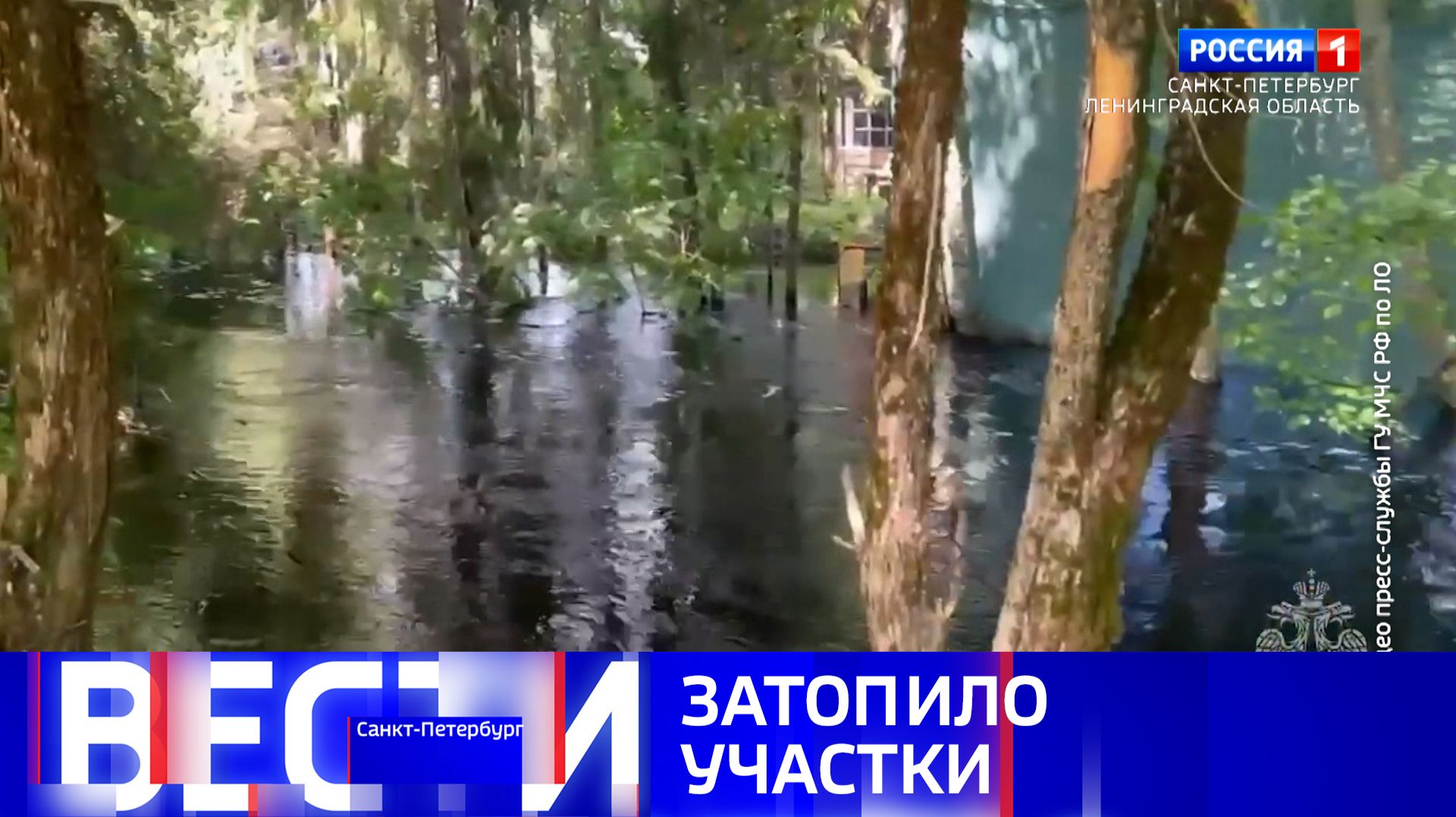 Вести Санкт-Петербург. Выпуск 09.30 от 08.07.2026 смотреть онлайн