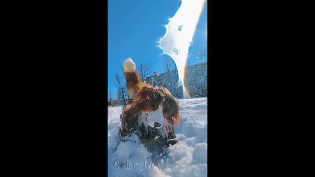 квд💗 смотреть онлайн