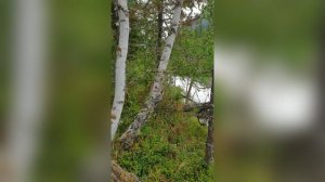 Одиночный поход на Большой Колагаш... Часть 7.