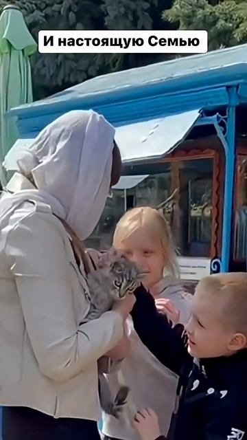 Добро пожаловать в Задонск, в монастырь и в гости к _монастырским кошкам_