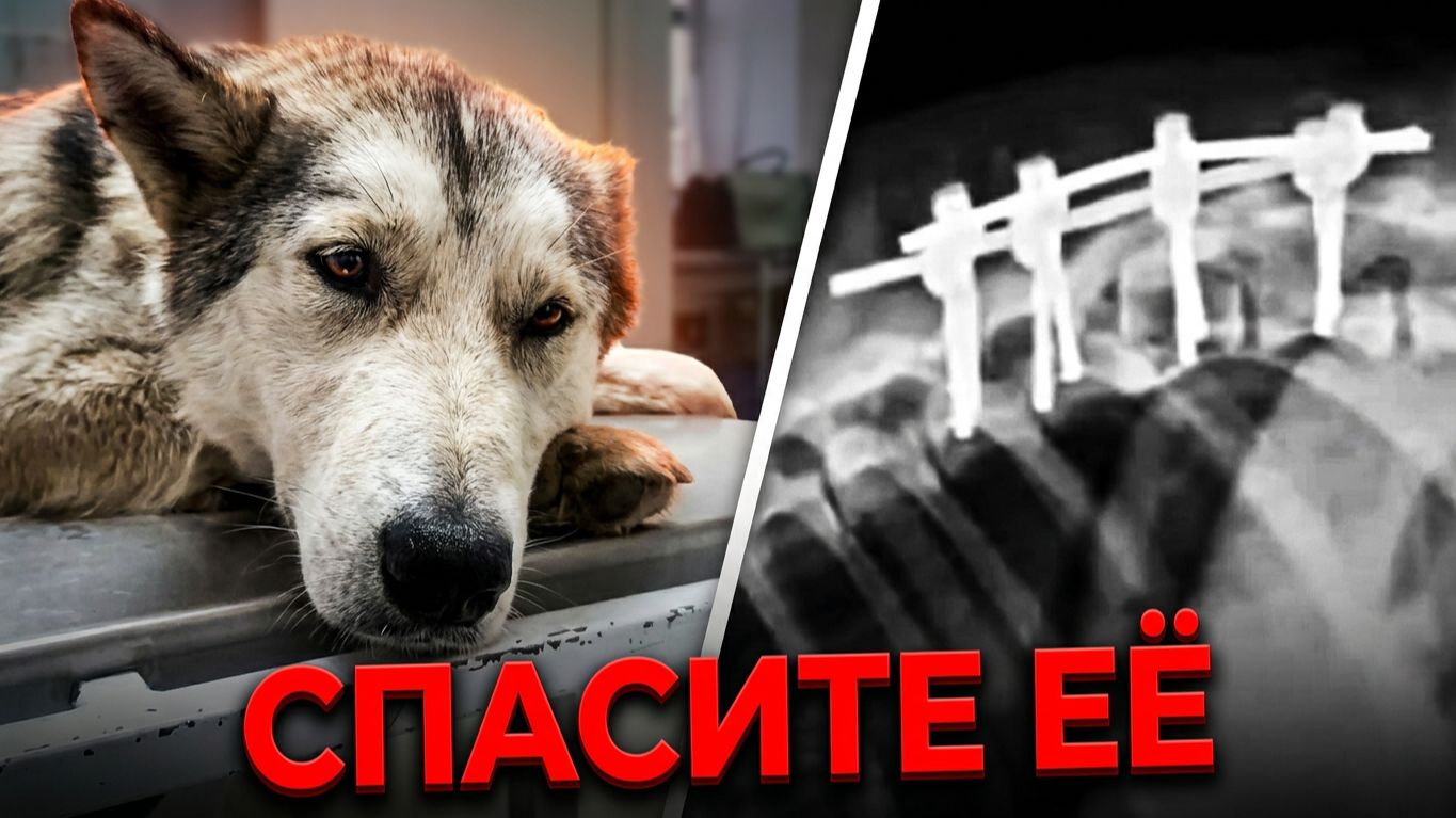 Она просто хочет жить... Трагедия и надежда в одном взгляде!