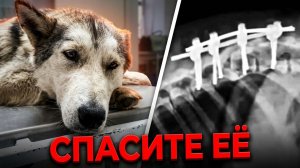 Она просто хочет жить... Трагедия и надежда в одном взгляде!