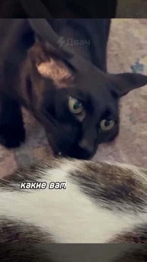 Лучше уже не будет