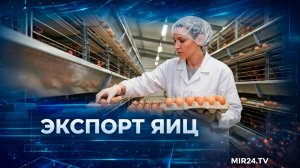 Экспортная выручка от яиц в России достигла исторического максимума | Вместе выгодно