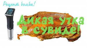 Дикая утка в сувиде!