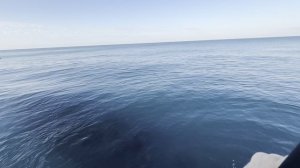 МОРМЫШИНГ на море не оставит вас без рыбы
