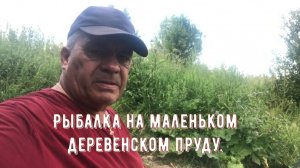 Рыбалка на маленьком деревенском пруду. 08.07.26.