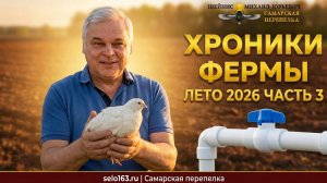 Лето 2026 — Хроники Фермы. Часть 3 Невидимая Работа. Почему Водопровод Важнее Перепелов