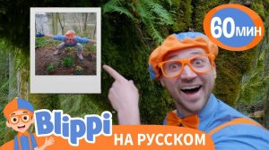 Родные Просторы _ Обучающие песни для детей _ Blippi Russian