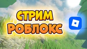 играю в рб XD