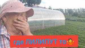 Глаза боятся руки делают 🥴 // я это сделала 🤷 // и я МОЛОДЕЦ 😄