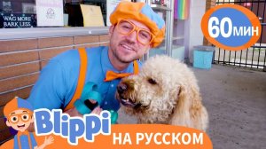 Песня _Мы Заботимся О Домашних Животных_ _ Обучающие песни для детей _ Blippi Russian