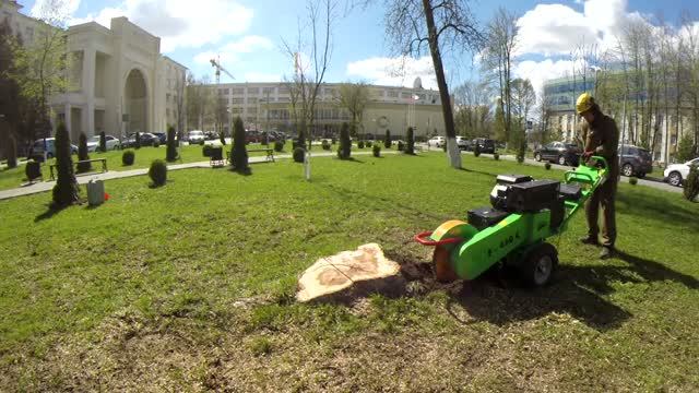 Удаление пня колесной дробилкой Laski F460 смотреть онлайн