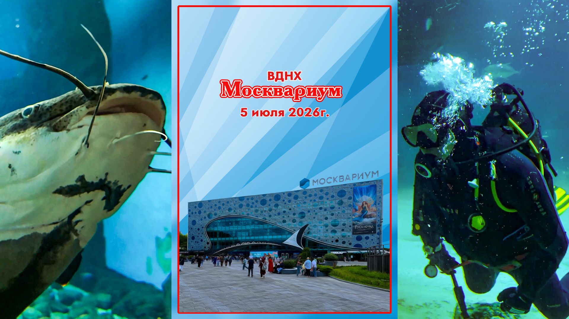 Москвариум 2026.07.05 Mosquarium