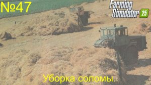 FS 25  Ягодное Уборка не зерновой части урожая.