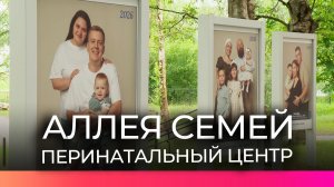 В Великом Новгороде в третий раз открылась «Аллея семей»