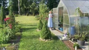 В деревню на дачу. Обзор сада.Жара, полив не сработал. Долгожданный дождь .03июля2026#сад#дача#