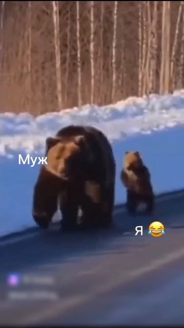 Короткометражка
