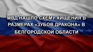 МВД нашло схему хищения в размерах «зубов дракона» в Белгородской области