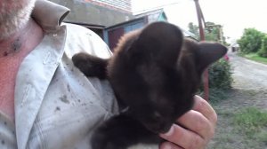 ШТУКАТУРЮ ГАРАЖ! ОГУРЧИКИ РАДУЮТ! БАКЛАЖАНЫ ЦВЕТУТ! КОЛЮЧИЙ ГОСТЬ!