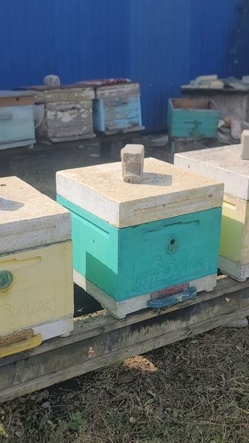 ф.83.трудяжки работают.
