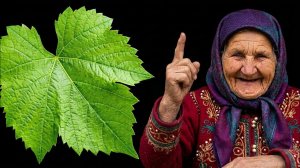 🌿 Это РАСТЕНИЕ ЛЕЧИТ ВСЁ? Очищение печени, сосудов, поддержка почек, зрения и суставов!