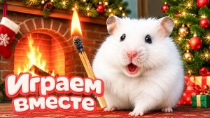 ХОМЯК ВЫБИРАЕТСЯ ИЗ СЕКРЕТНОЙ ХОМЯЧЕЙ ТЮРЬМЫ ! Забавные животные ! Супер лабиринт для хомяка №49