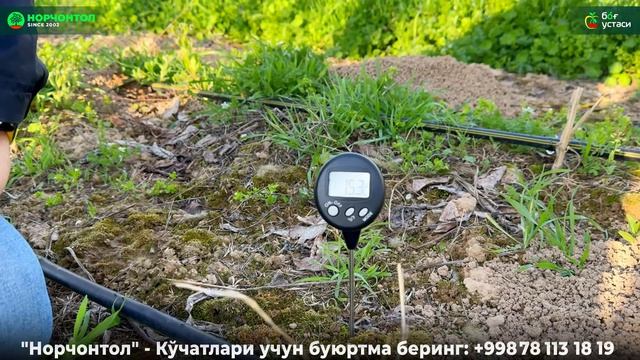 ДАРАХТЛАРНИ ҚАНДАЙ ЎҒИТЛАШ ВА СУҒОРИШ КЕРАК? | ШУҲРАТ АБРОРОВ #ogitlash #sugorish #azot смотреть онлайн