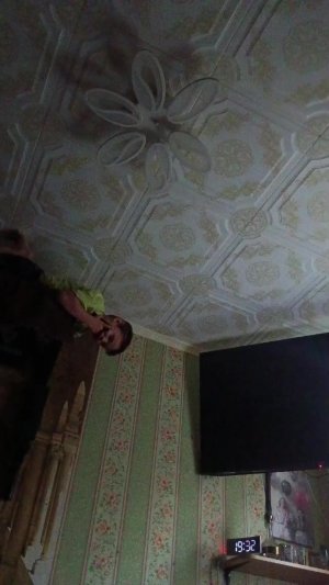 Мы?
