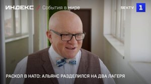 Раскол в НАТО: альянс разделился на два лагеря