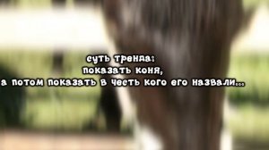 кто-нибудь догадается как назвали красавчика? 😍