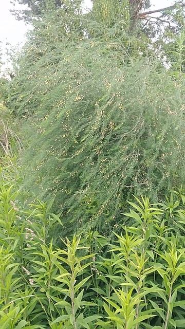 НОСТАЛЬГИЯ🌾 ИЗ 80 - 90х ГОДОВ
