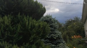 День в ожидании и поисках Егора 😔 08-07-2026
