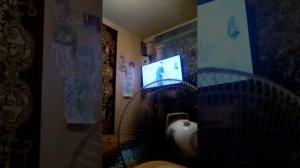 У нас в гостях Шансик